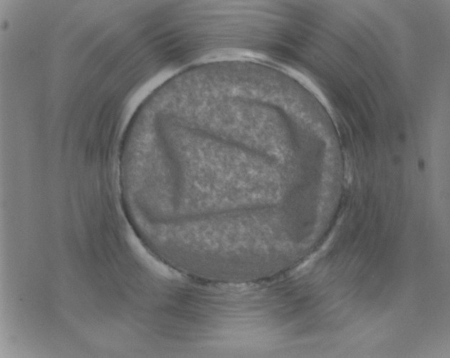 X0000075901003200610151811