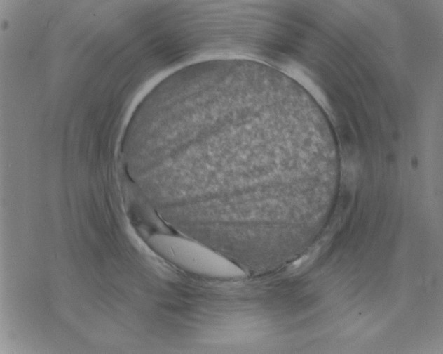 X0000075901004200610151811