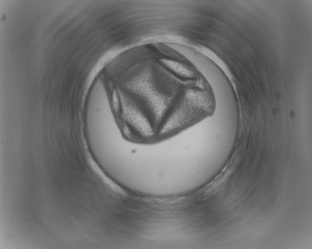 X0000075901005200610151811