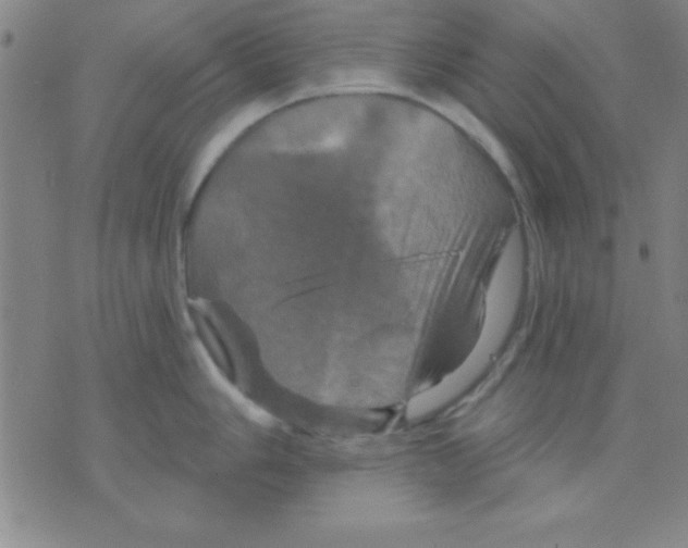 X0000075901006200610151811