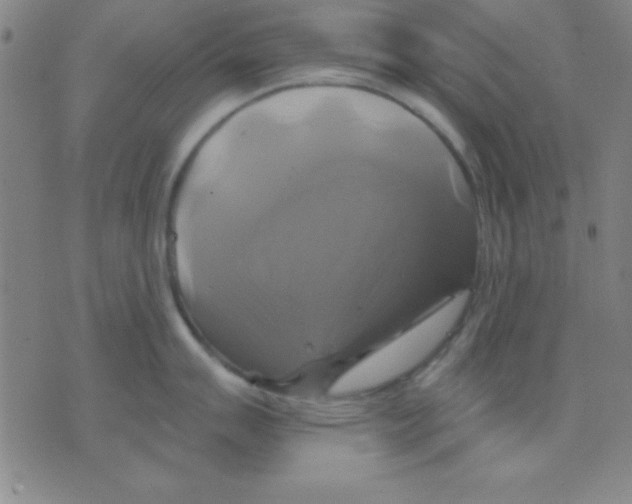 X0000075901007200610151811