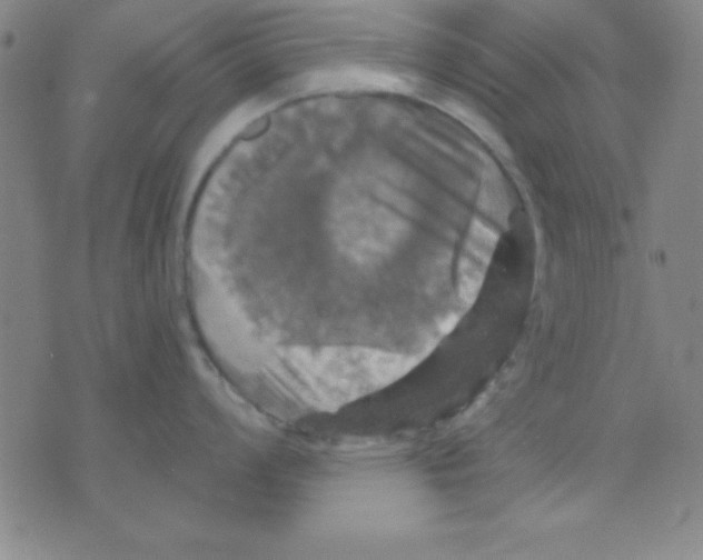 X0000075901008200610151811