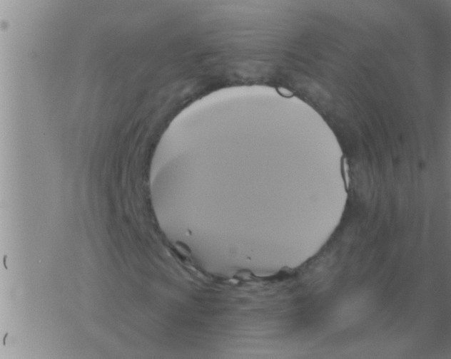 X0000075901009200610151810