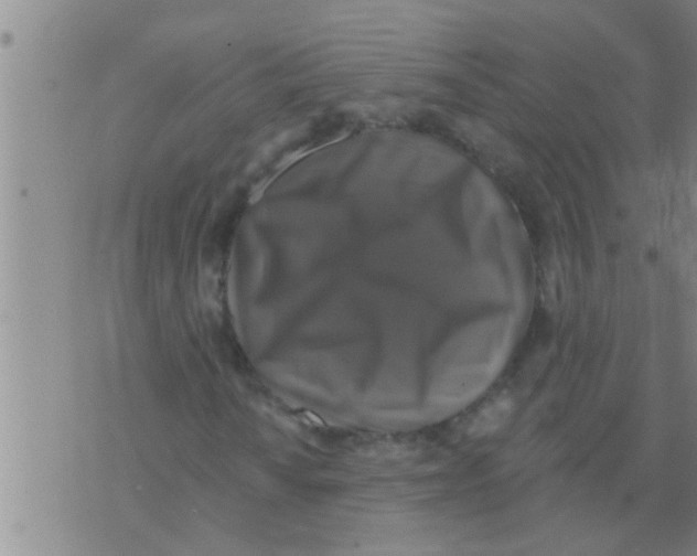 X0000075901010200610151811