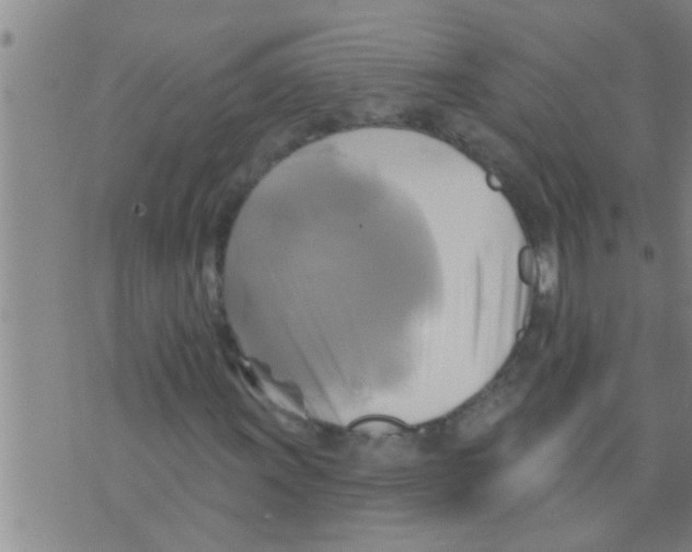 X0000075901011200610151811