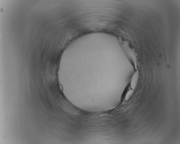 X0000075901012200610151811