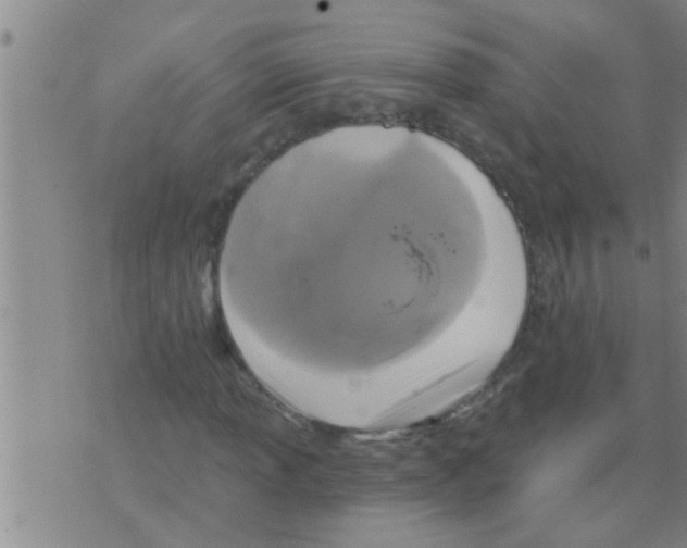 X0000075901013200610151811