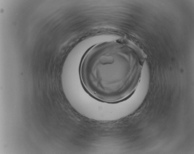 X0000075901014200610151811