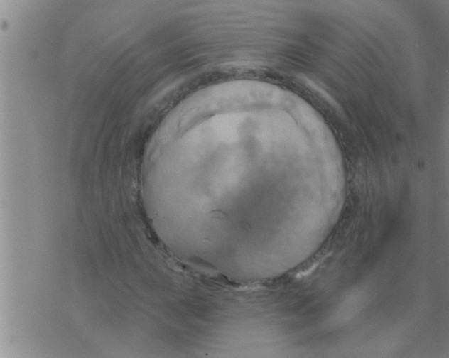 X0000075901015200610151811