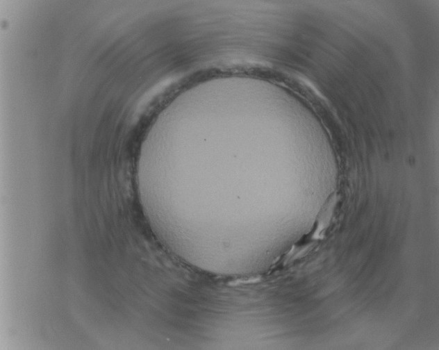 X0000075901016200610151811