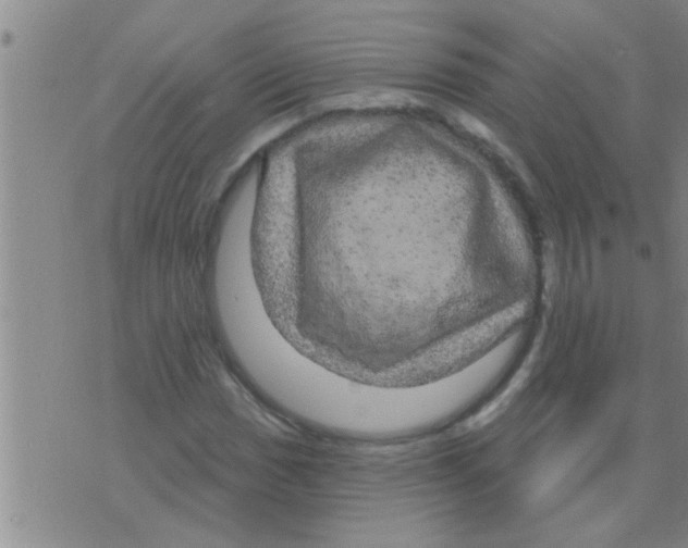 X0000075901017200610151811