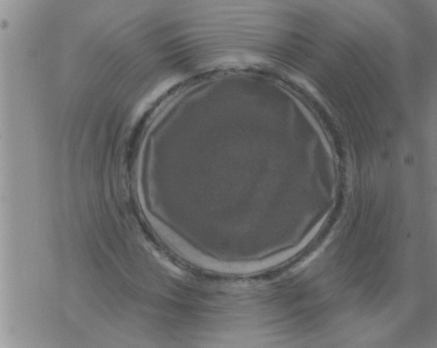 X0000075901018200610151811