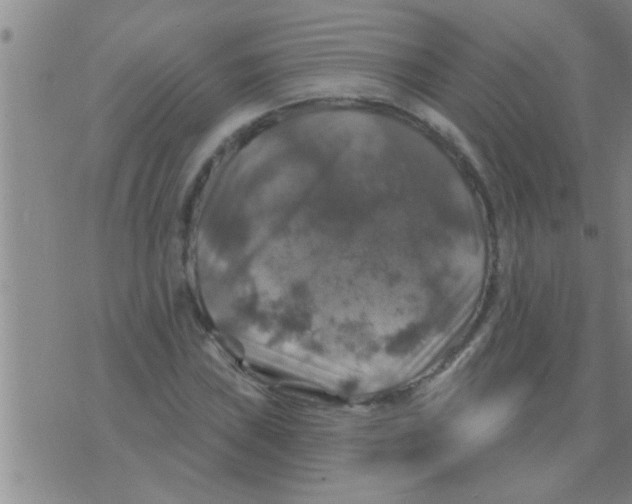 X0000075901019200610151811