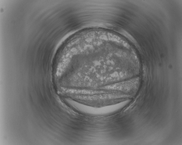 X0000075901020200610151811