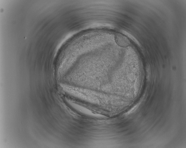 X0000075901021200610151811