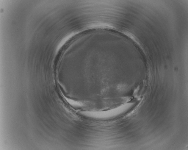 X0000075901022200610151811