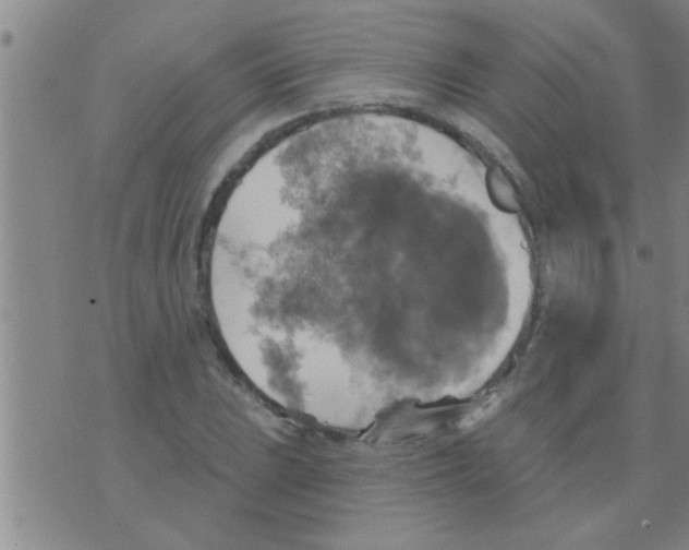 X0000075901023200610151811