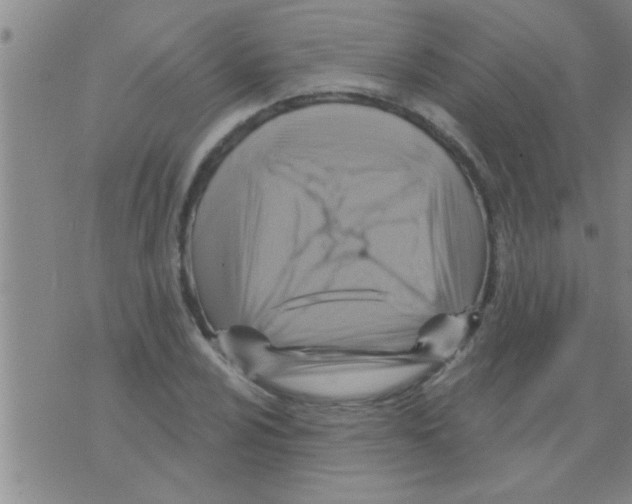 X0000075901024200610151811