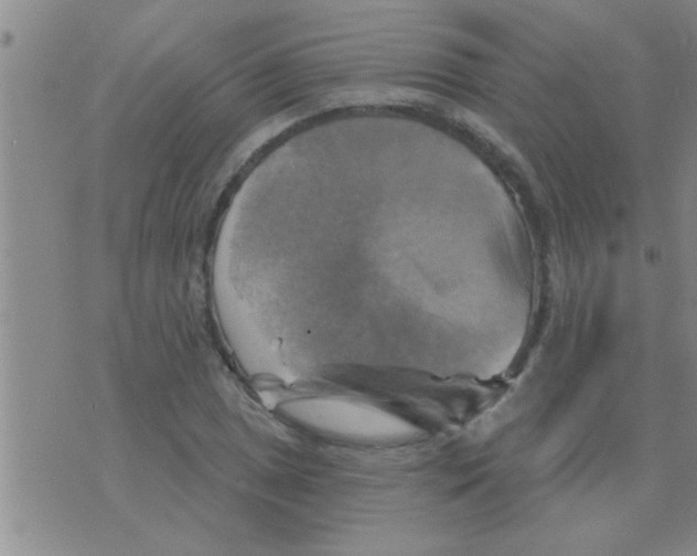 X0000075901025200610151811