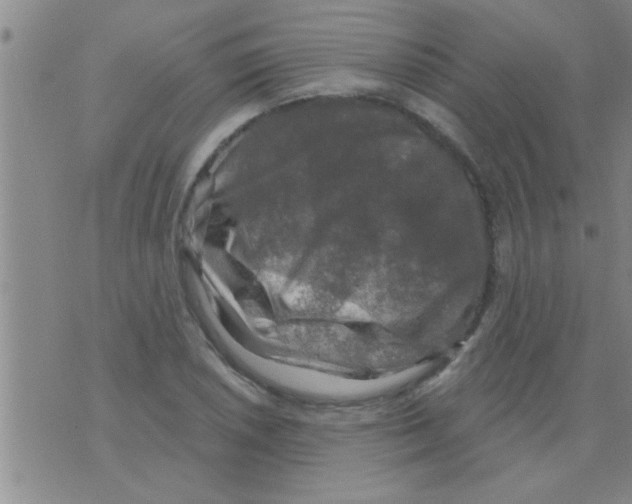 X0000075901026200610151811