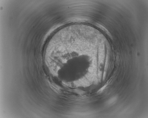 X0000075901027200610151811