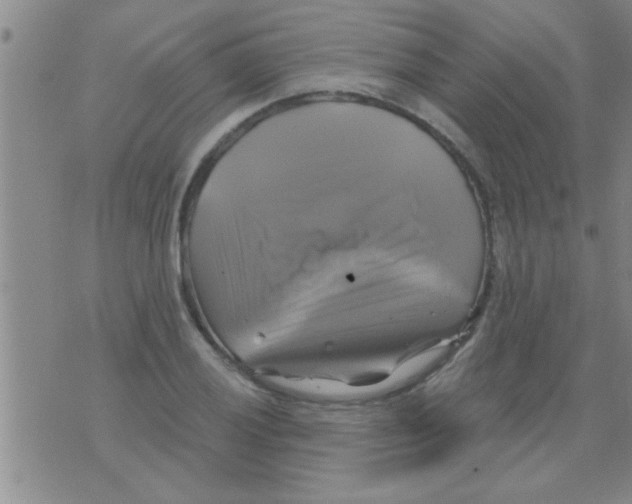 X0000075901028200610151811