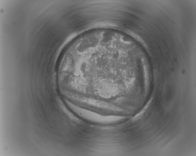 X0000075901029200610151811