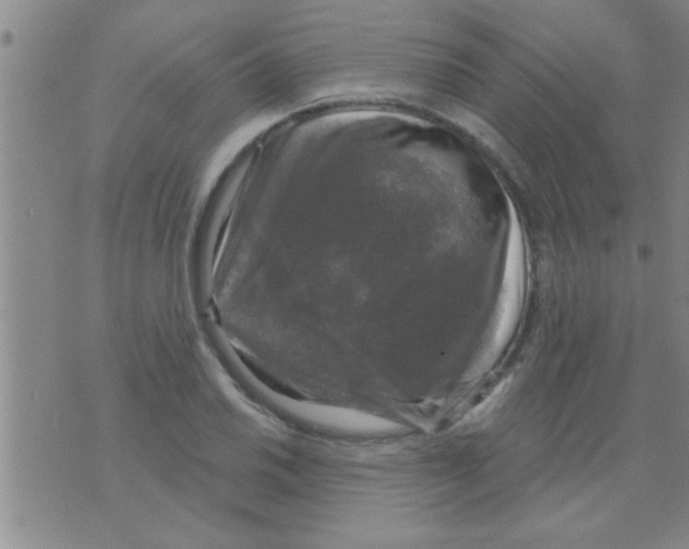 X0000075901030200610151811