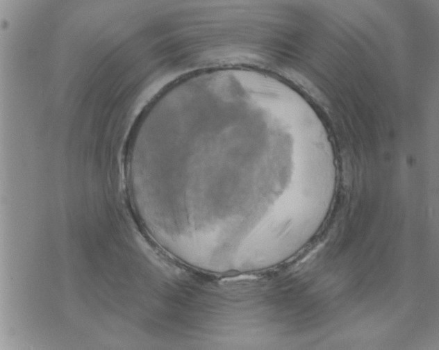 X0000075901031200610151811