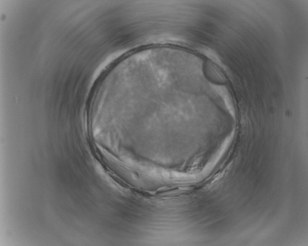 X0000075901032200610151811