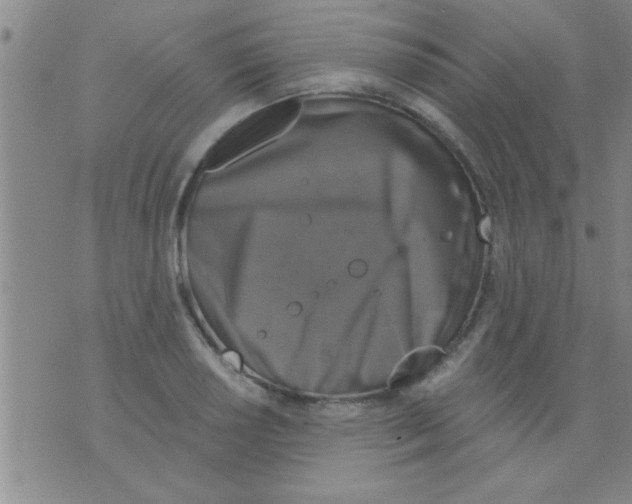 X0000075901034200610151811