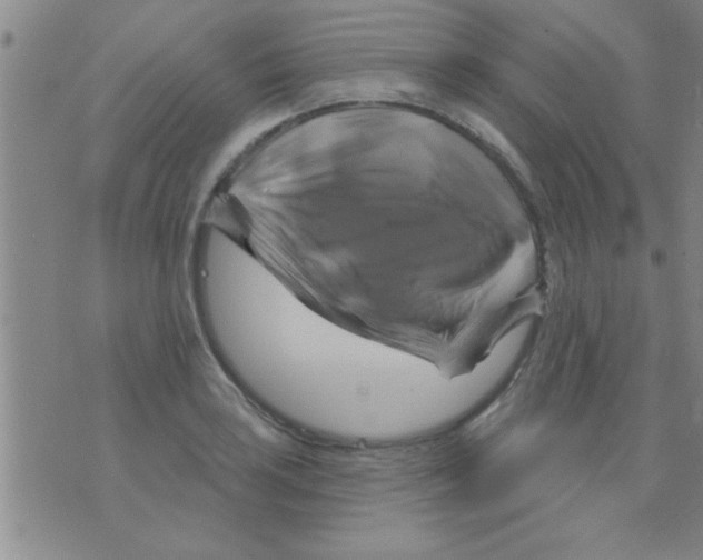 X0000075901035200610151811