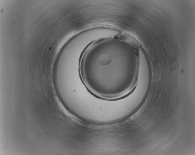 X0000075901038200610151811