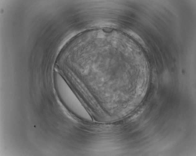 X0000075901039200610151811