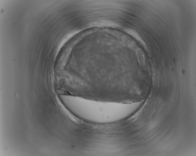 X0000075901040200610151811