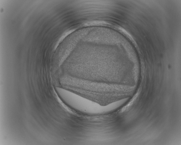 X0000075901041200610151811