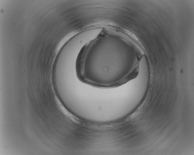 X0000075901042200610151811