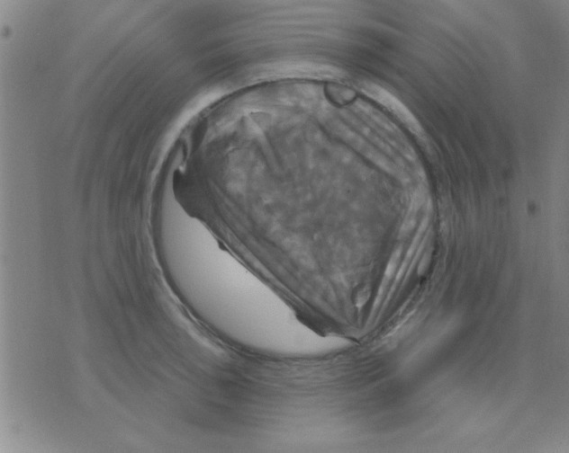 X0000075901043200610151811