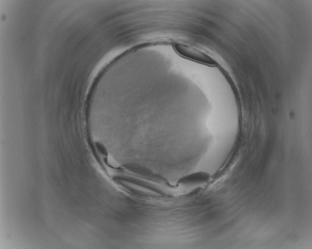 X0000075901045200610151811