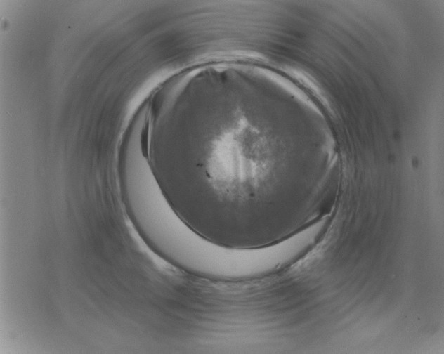 X0000075901046200610151811