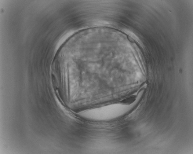 X0000075901047200610151811