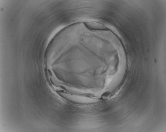 X0000075901048200610151811