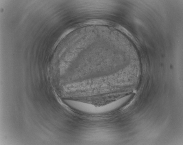 X0000075901049200610151811