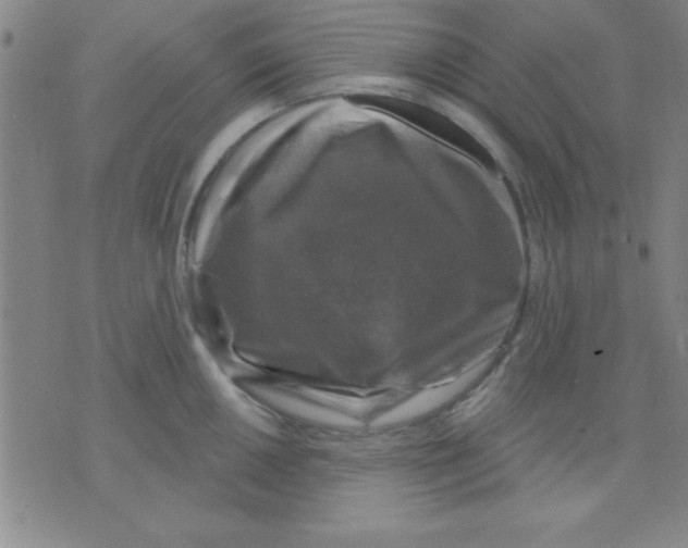 X0000075901050200610151811