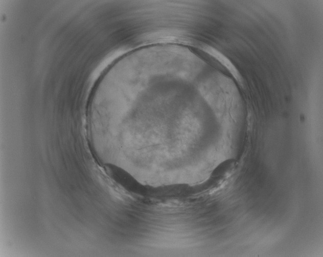 X0000075901051200610151811