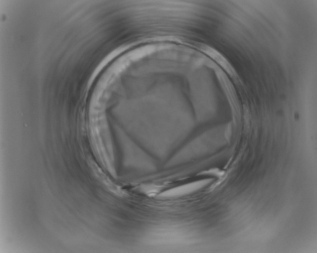 X0000075901052200610151811