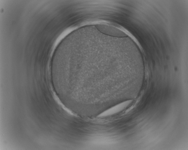 X0000075901053200610151811