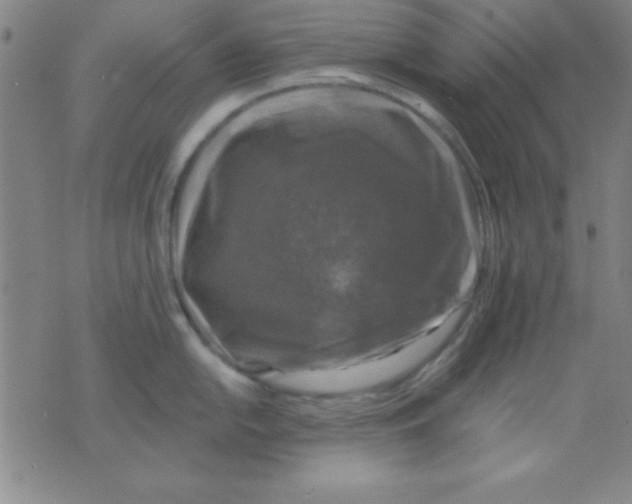 X0000075901054200610151811