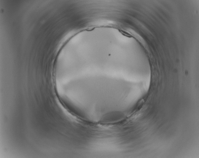 X0000075901055200610151811