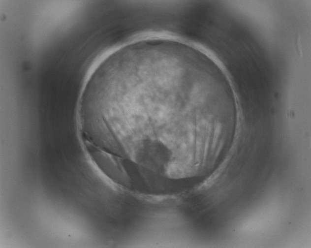 X0000075901056200610151811